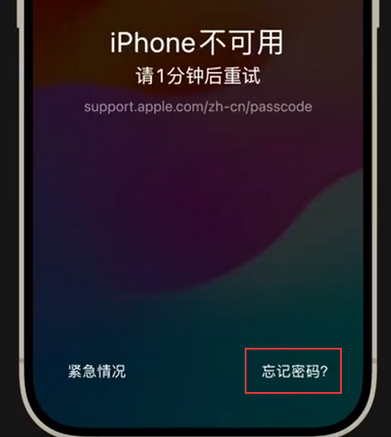 西湖苹果手机密码维修分享iPhone忘记了刚设置的密码 